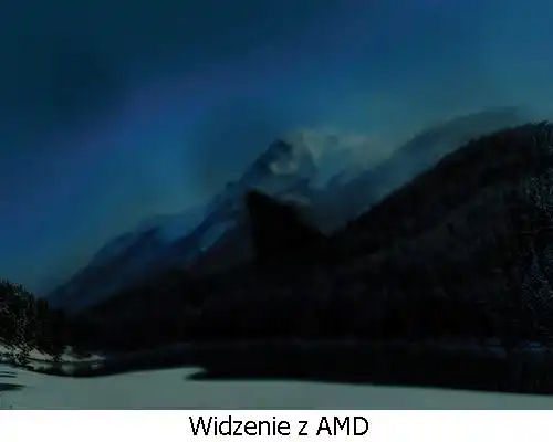 widzenie amd