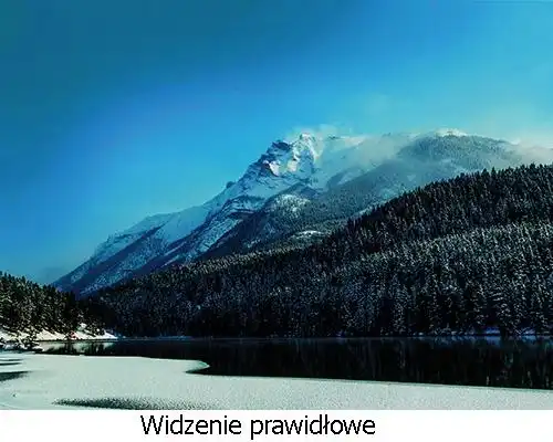 widzenie ok