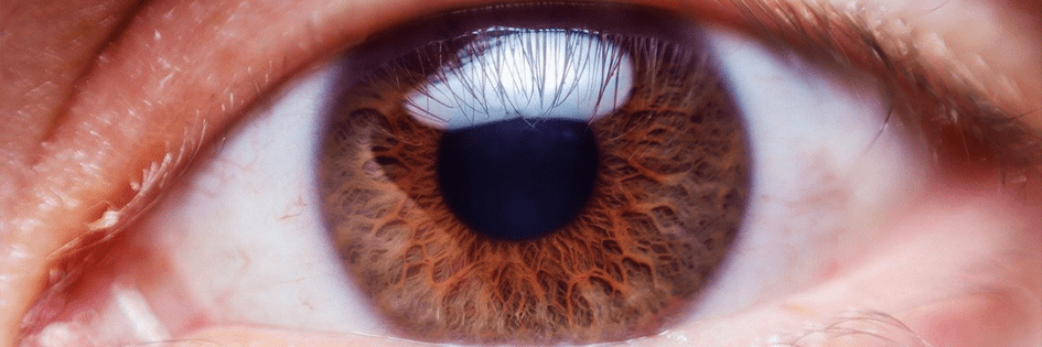 Badanie dna oka niezbędne informacje PRYZMAT okulistyka